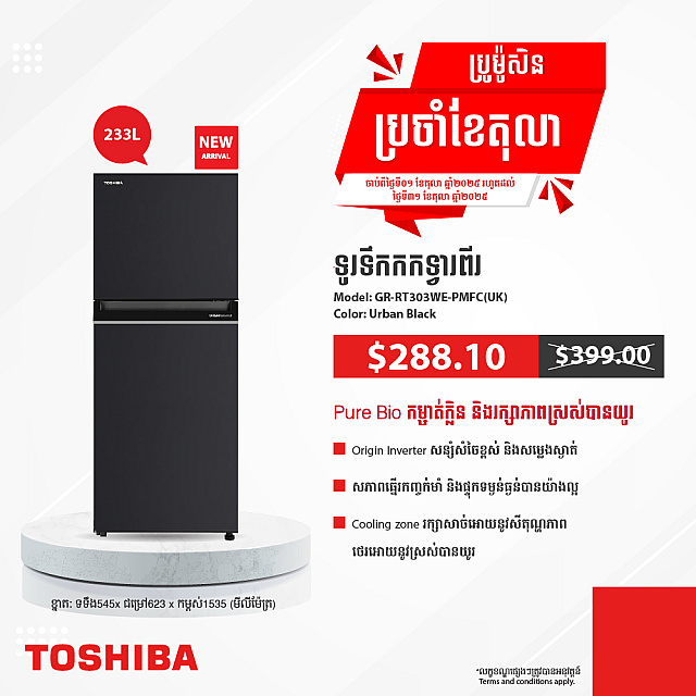 Toshiba Refrigerator (Inverter,Double door,233L)